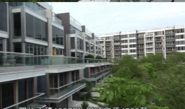 吃瓜爆料秃崽男朋友,秃崽男朋友身份揭秘，神秘背景引热议